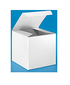 Custom Drinkware: White Gift Box For 11 oz Mugs